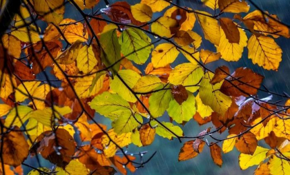 Început de săptămână ploios cu maxime de până la 13 grade în capitală. Cum va fi vremea în toată țara. Prognoza meteo  Început de săptămână ploios cu maxime de până la 13 grade în capitală. Cum va fi vremea în toată țara. Prognoza meteo