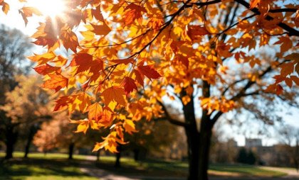 Vreme frumoasă în toată țara. Câte grade se vor inregistra astăzi, dar și în următoarele zile. Prognoza meteo