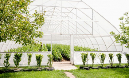 Sere în Moldova - ghid complet pentru alegerea materialelor și costurilor
