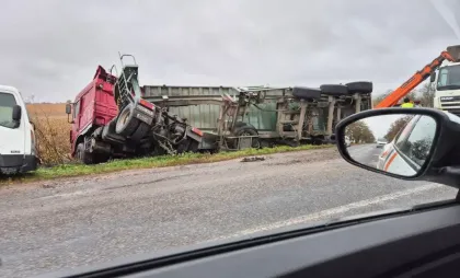 Un camion încărcat cu semințe de floarea soarelui s-a răsturnat, după ce șoferul a pierdut controlul volanului, la Drochia. Imagini surprinse de martori - FOTO