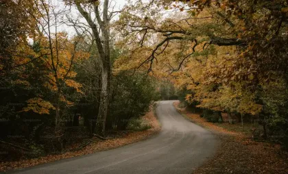 Peisaj de toamnă Peisaj de toamnă
