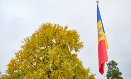 Drapelul Republicii Moldova a fost arborat în Place de la République din Strasbourg Drapelul Republicii Moldova a fost arborat în Place de la République din Strasbourg