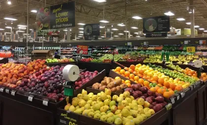 Fotografie cu caracter ilustrativ Fotografie cu caracter ilustrativ