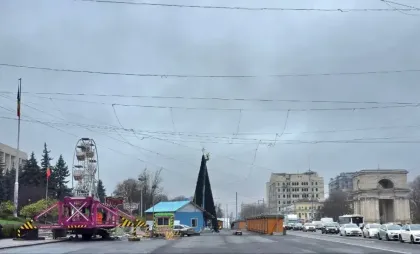 Bradul din Chișinău