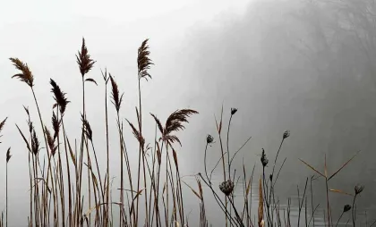 Imagine simbol Imagine simbol