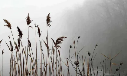 Imagine simbol Imagine simbol