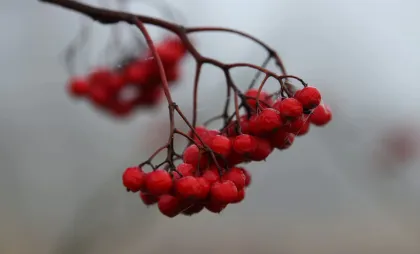 Imagine simbol Imagine simbol