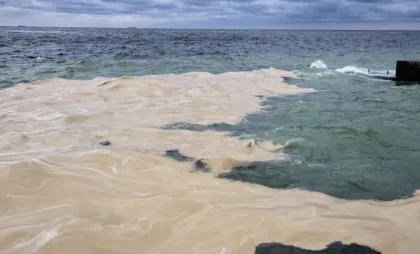 Marea Neagră poluată