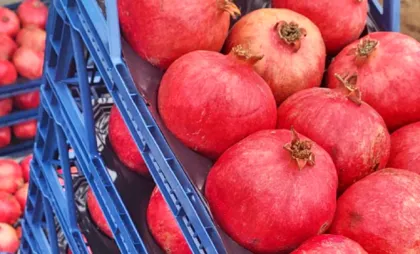 Rodiile nimicite Rodiile nimicite