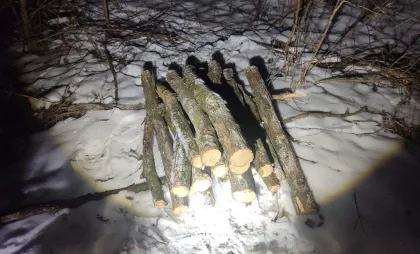 Grămada de lemne depistată Grămada de lemne depistată