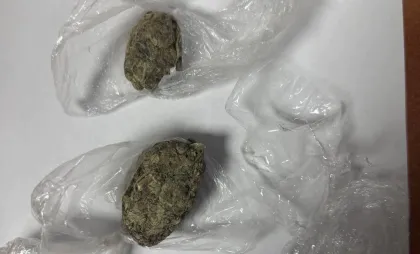 Substanță vegetală