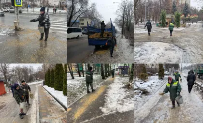 Serviciile municipale 