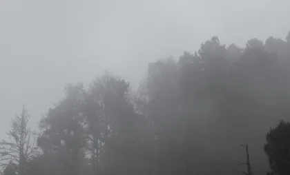 Imagine simbol Imagine simbol