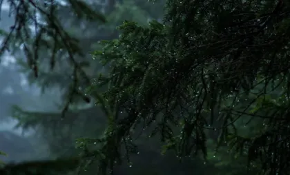 Imagine simbol Imagine simbol