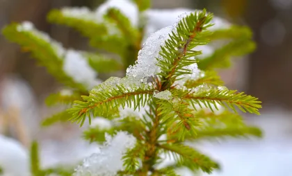 Imagine simbol Imagine simbol