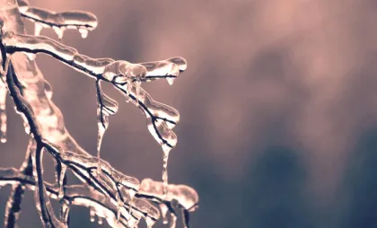 Imagine simbol Imagine simbol