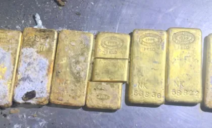 Lingourile de aur depistate Lingourile de aur depistate