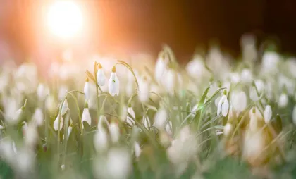 Imagine simbol Imagine simbol