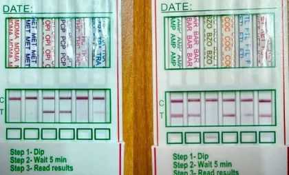 Rezultatele testelor 