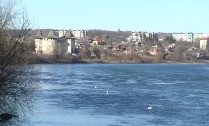 Pete uleioase pe Nistru