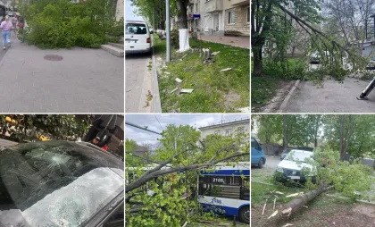 Vântul a provocat pagube