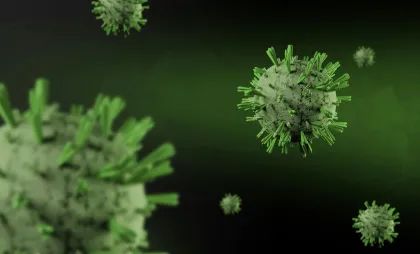 Virus