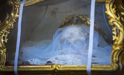 Craniul Sfintei Zdislava Craniul Sfintei Zdislava