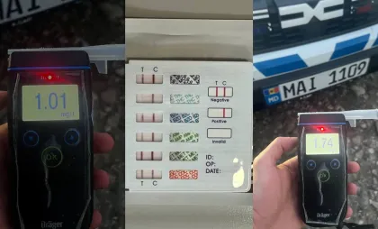Rezultatele testelor Rezultatele testelor
