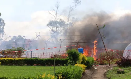 Incendiu 