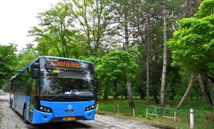 Autobuzul 31
