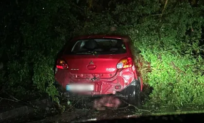 Copac doborât peste mașină Copac doborât peste mașină