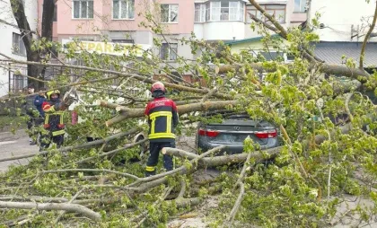 Intervenții 