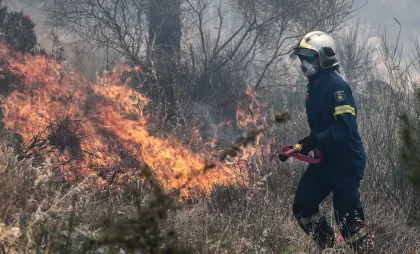 Incendiu de vegetație Incendiu de vegetație