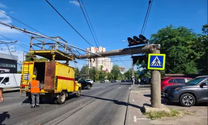 Pilon căzut