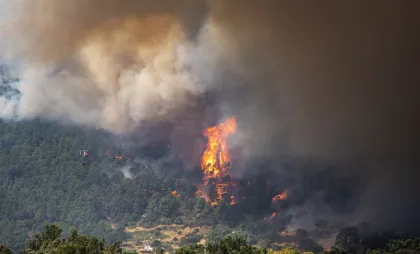 Incendii de vegetație