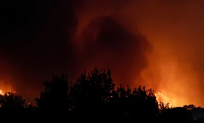 Incendii de vegetație