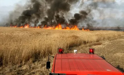 Incendiu lan de grâu