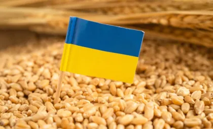 Ucraina