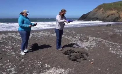 Temperaturi înalte în oceane
