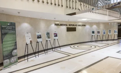 expoziția „Arta prinde viață” expoziția „Arta prinde viață”
