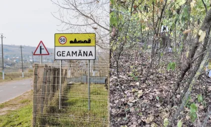 Geamăna Geamăna
