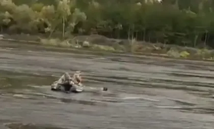 Captură video Captură video