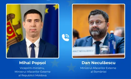 Mihai Popșoi și Dan Neculăescu