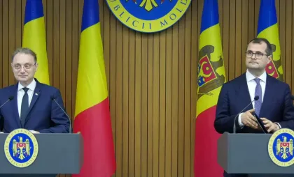Tofan și Niculescu Tofan și Niculescu
