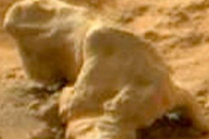 Rover-ul Curiosity a fotografiat o piatra care arata ca o iguana pe Marte. VIDEO Rover-ul Curiosity a fotografiat o piatra care arata ca o iguana pe Marte. VIDEO