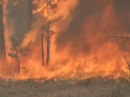 Bilantul incendiilor care ard in continuare padurile din sud-estul Rusiei este groaznic. 29 de oameni au murit Bilantul incendiilor care ard in continuare padurile din sud-estul Rusiei este groaznic. 29 de oameni au murit