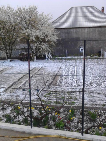 Fenomen rar intalnit in mijlocul primaverii. In mai multe raioane ale tarii, dar si in capitala a plouat cu grindina FOTO