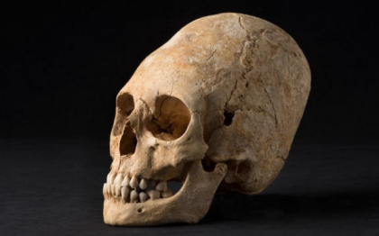Craniul "de extraterestru", descoperit intr-un mormant din Franta. Cine era de fapt femeia Craniul "de extraterestru", descoperit intr-un mormant din Franta. Cine era de fapt femeia