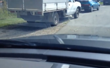 Un australian s-a trezit cu un sarpe pe parbriz in timp ce conducea. Cum a reactionat soferul. VIDEO