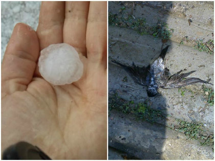 FOTO - Grindina a OMORAT pasari la Cantemir. O MARE de grindina a lovit ieri raionul: Imagini spectaculoase